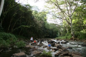 River at Wailua